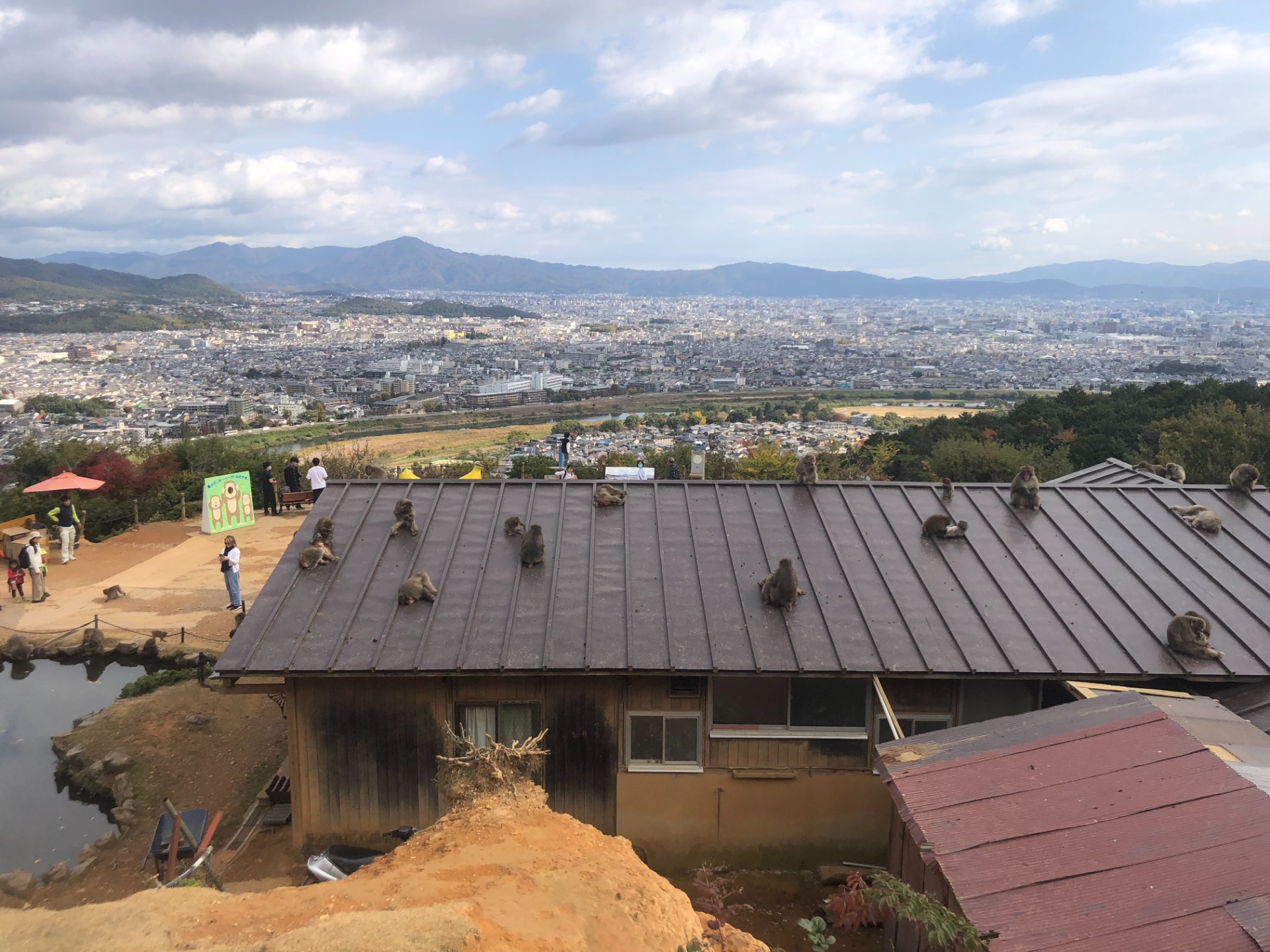 Parc aux singes d'Iwatayama, Kyoto - Japon